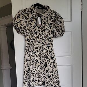Cider Black and Cream Floral Mini Dress
